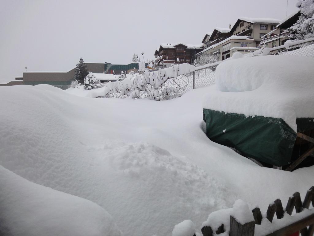 Lehmann'S Herberge Hostel Grindelwald Dış mekan fotoğraf