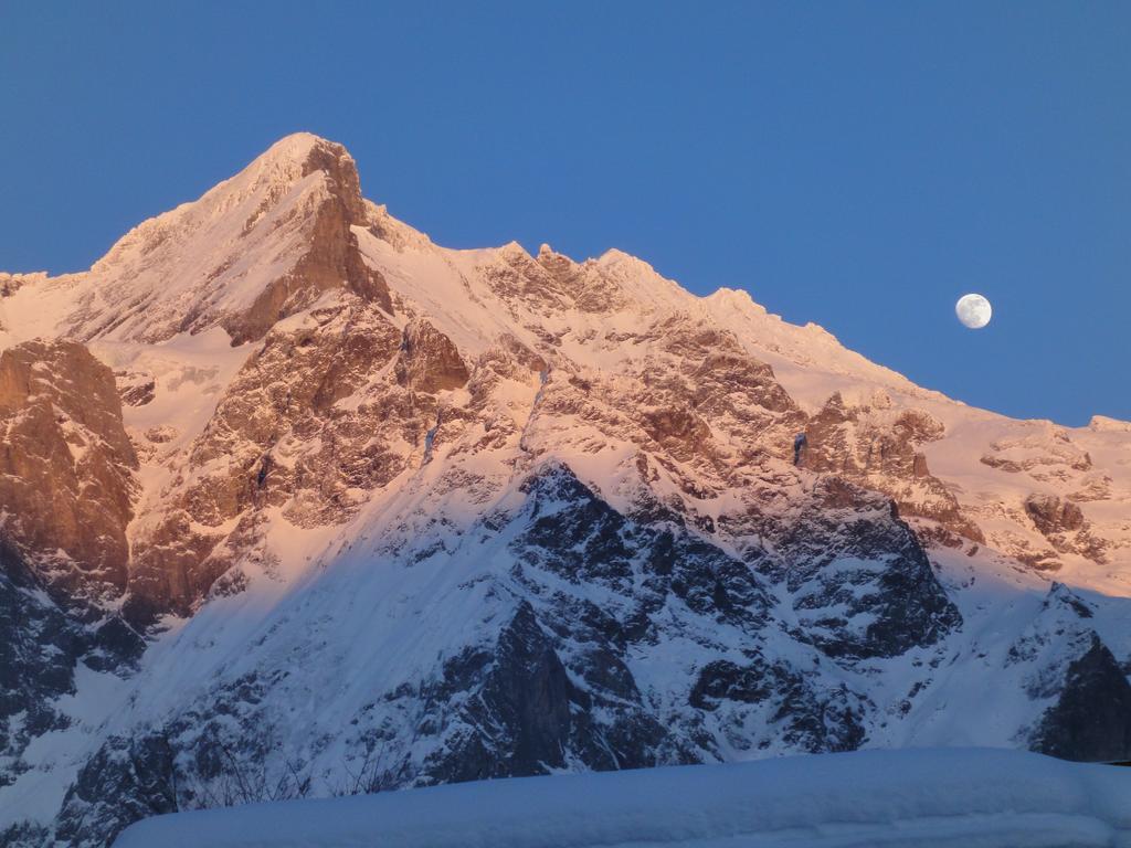 Lehmann'S Herberge Hostel Grindelwald Dış mekan fotoğraf