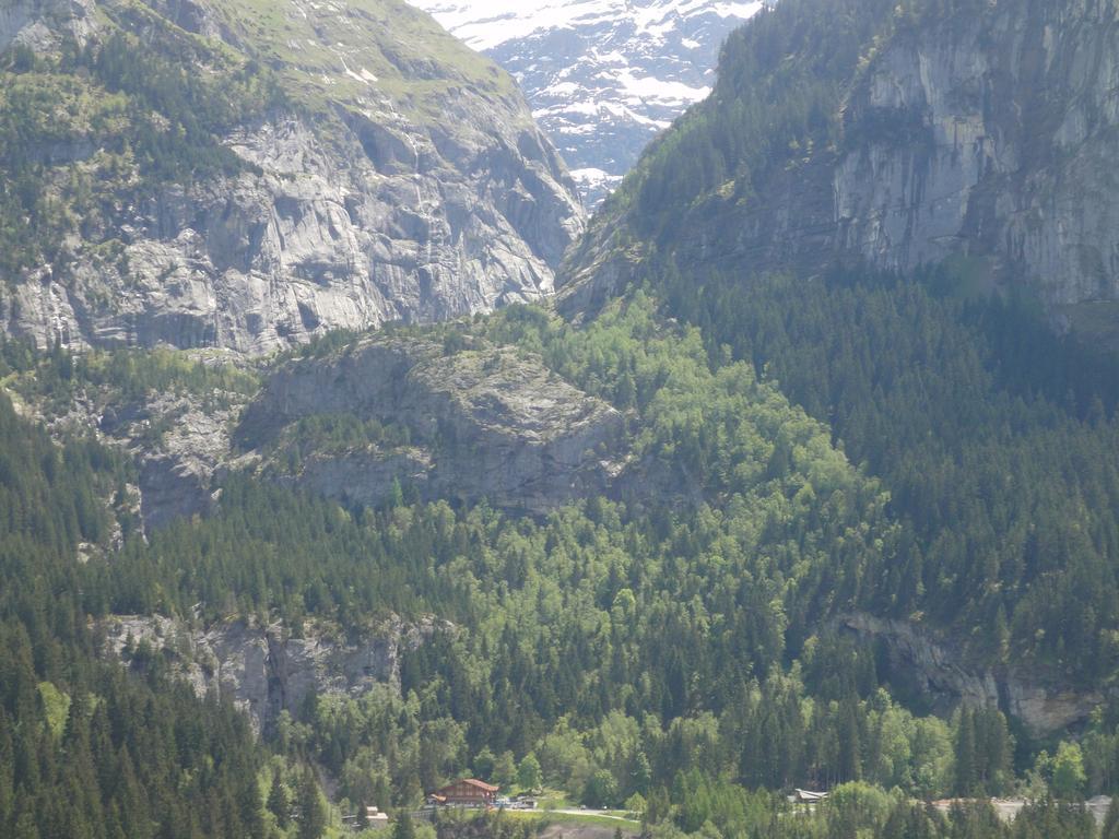 Lehmann'S Herberge Hostel Grindelwald Dış mekan fotoğraf